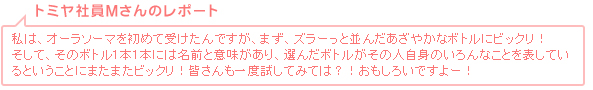 トミヤ社員 Mさんのレポート