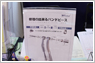 g~f^GLX|2011ʐ^W2No.23
